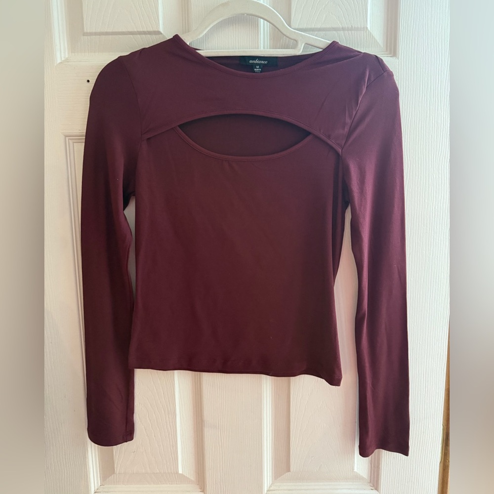 Burgundy Long Sleeve Crop Top